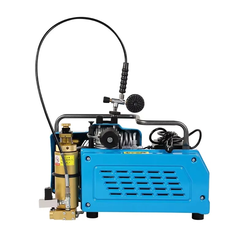 Compressore d'Aria ad Alta Pre - Air Compressor Portable recensione e prezzo